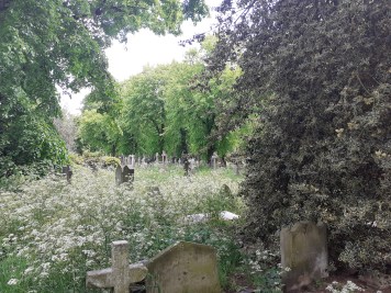 BromptonCemetery1