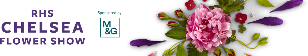 Chelsea-2020-Header-Desktop